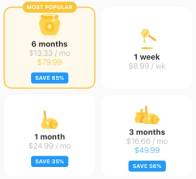 Tabla de precios de suscripción de la aplicación.